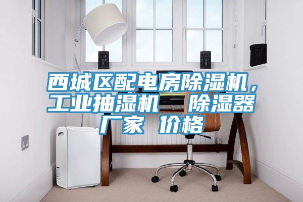 西城區(qū)配電房除濕機(jī)，工業(yè)抽濕機(jī)  除濕器廠家 價(jià)格