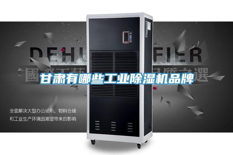 甘肅有哪些工業(yè)除濕機品牌