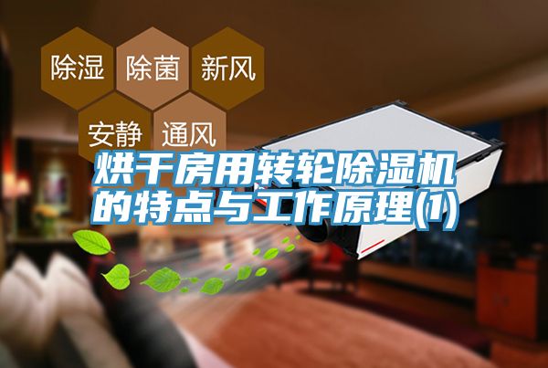 烘干房用轉(zhuǎn)輪除濕機(jī)的特點(diǎn)與工作原理(1)