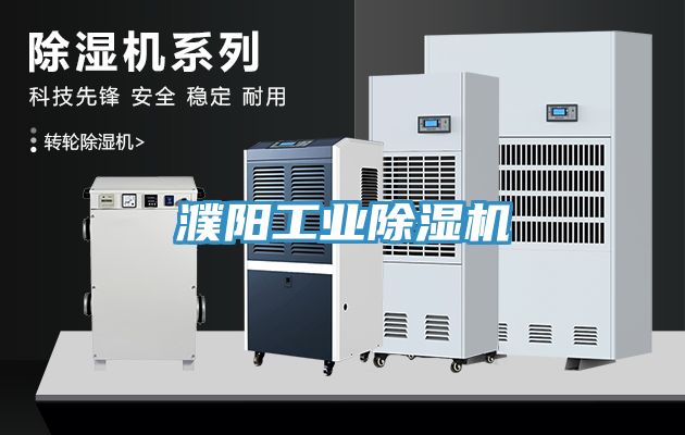 濮陽(yáng)工業(yè)除濕機(jī)