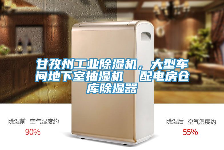 甘孜州工業(yè)除濕機，大型車間地下室抽濕機  配電房倉庫除濕器