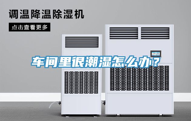 車間里很潮濕怎么辦？