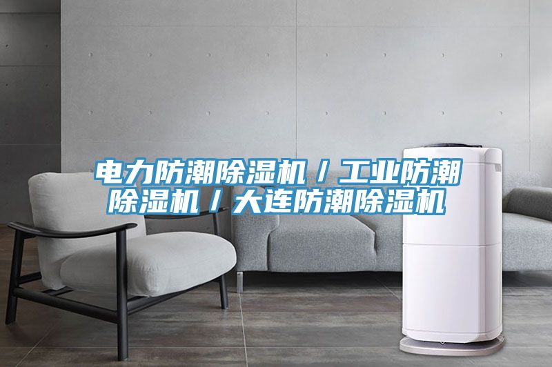 電力防潮除濕機(jī)／工業(yè)防潮除濕機(jī)／大連防潮除濕機(jī)