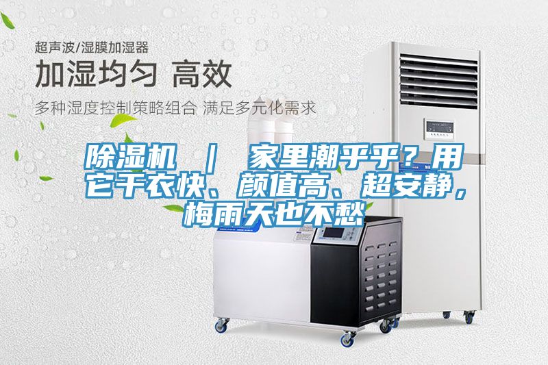 除濕機(jī) ｜ 家里潮乎乎？用它干衣快、顏值高、超安靜，梅雨天也不愁
