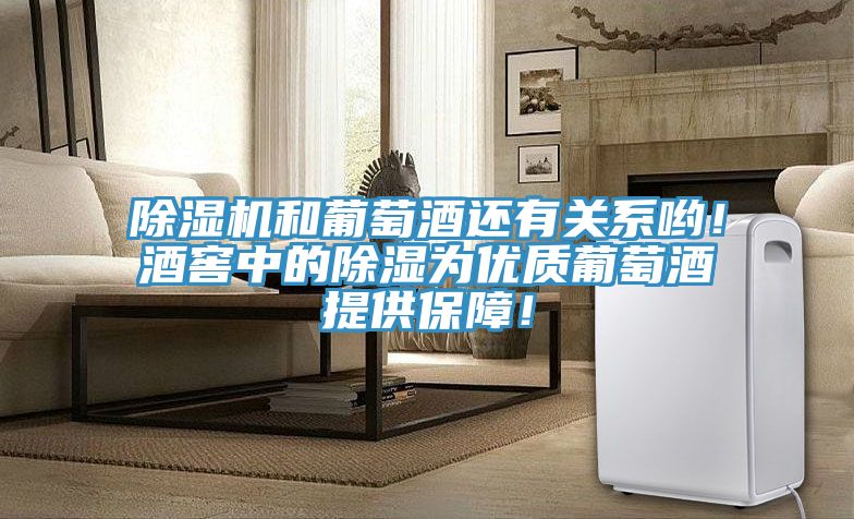 除濕機和葡萄酒還有關系喲！酒窖中的除濕為優(yōu)質葡萄酒提供保障！