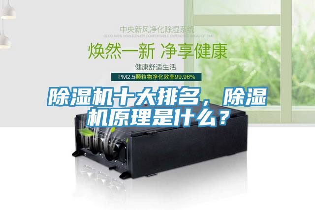 除濕機(jī)十大排名，除濕機(jī)原理是什么？