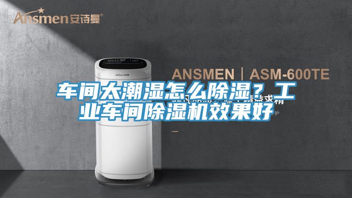 車間太潮濕怎么除濕？工業(yè)車間除濕機效果好