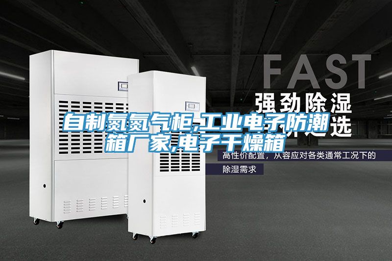 自制氮氮氣柜,工業(yè)電子防潮箱廠家,電子干燥箱