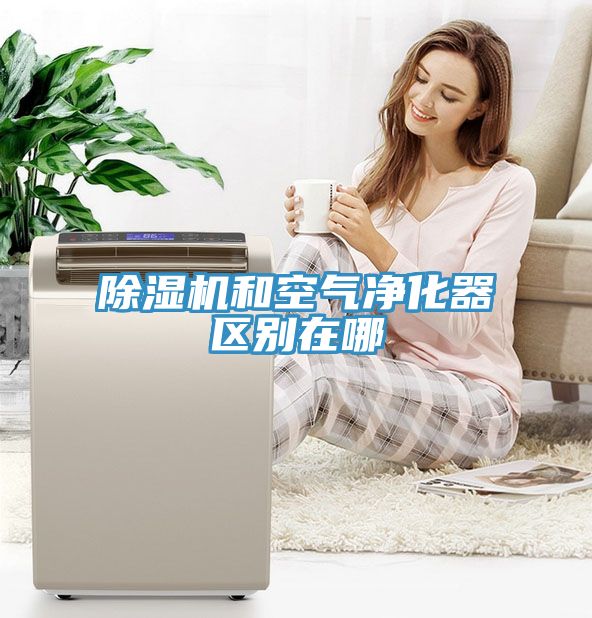 除濕機和空氣凈化器區(qū)別在哪