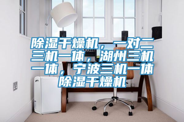 除濕干燥機，一對二三機一體，湖州三機一體，寧波三機一體除濕干燥機