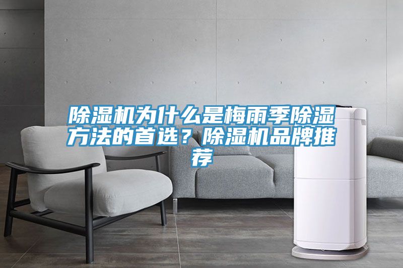 除濕機(jī)為什么是梅雨季除濕方法的首選？除濕機(jī)品牌推薦