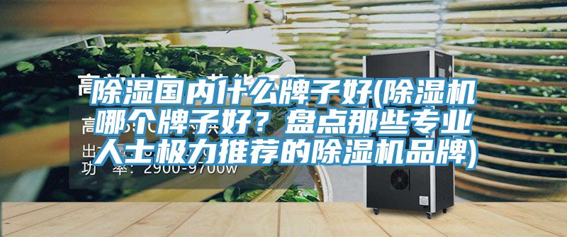除濕國內(nèi)什么牌子好(除濕機哪個牌子好？盤點那些專業(yè)人士極力推薦的除濕機品牌)