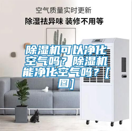 除濕機可以凈化空氣嗎？除濕機能凈化空氣嗎？[圖]