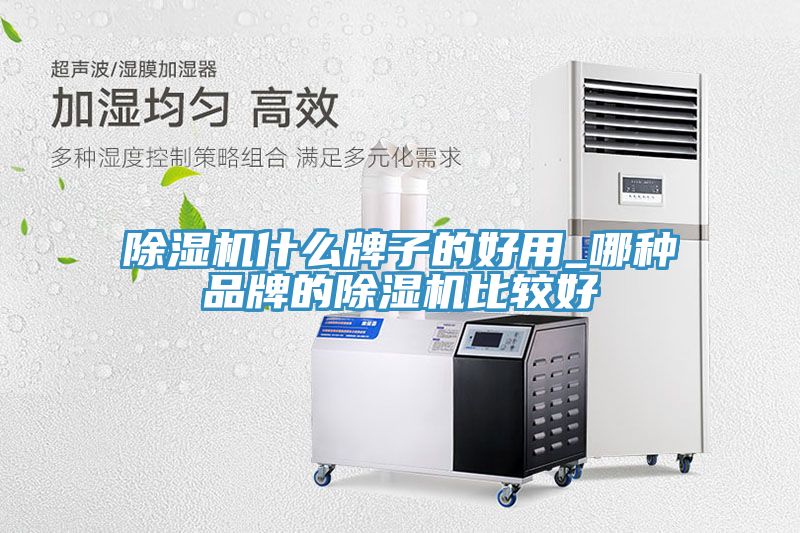 除濕機(jī)什么牌子的好用_哪種品牌的除濕機(jī)比較好