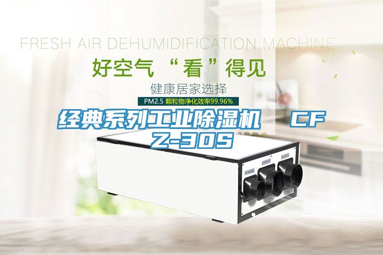 經(jīng)典系列工業(yè)除濕機  CFZ-30S
