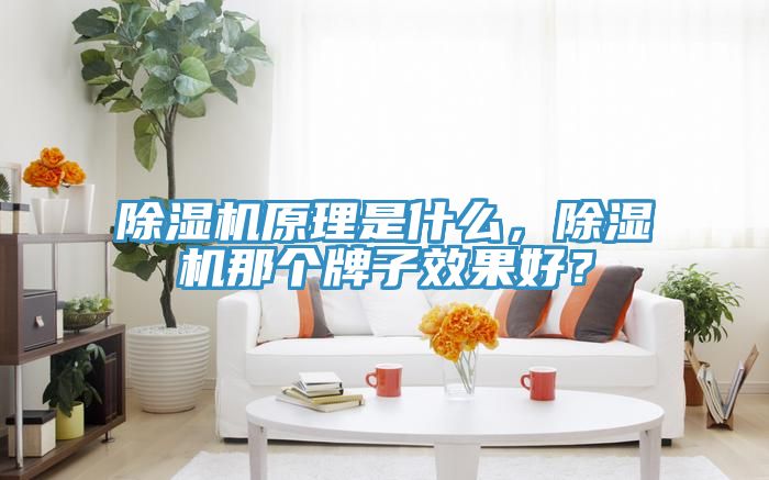 除濕機(jī)原理是什么，除濕機(jī)那個(gè)牌子效果好？