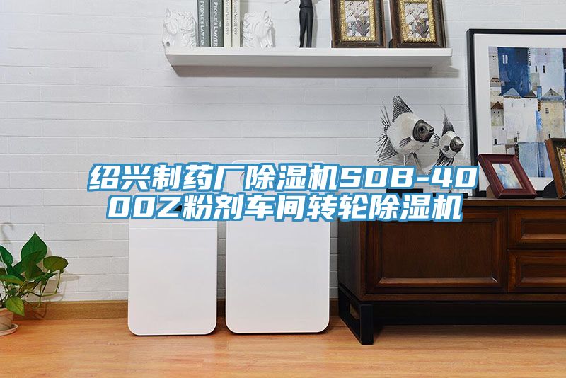 紹興制藥廠除濕機SDB-4000Z粉劑車間轉(zhuǎn)輪除濕機