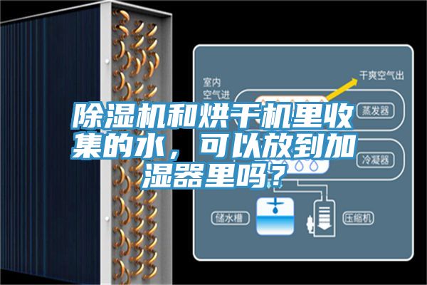 除濕機和烘干機里收集的水，可以放到加濕器里嗎？