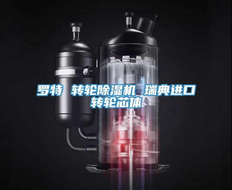羅特 轉(zhuǎn)輪除濕機 瑞典進口轉(zhuǎn)輪芯體
