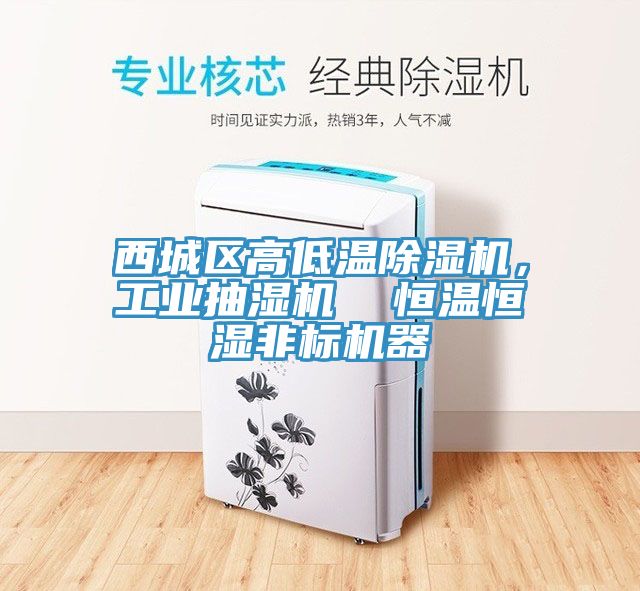 西城區(qū)高低溫除濕機(jī)，工業(yè)抽濕機(jī)  恒溫恒濕非標(biāo)機(jī)器