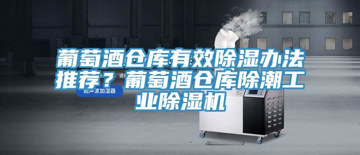 葡萄酒倉(cāng)庫(kù)有效除濕辦法推薦？葡萄酒倉(cāng)庫(kù)除潮工業(yè)除濕機(jī)