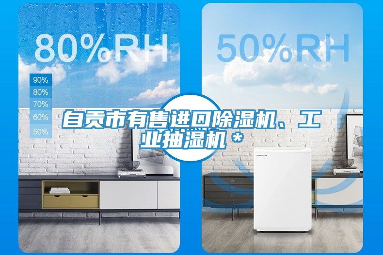 自貢市有售進口除濕機、工業(yè)抽濕機＊