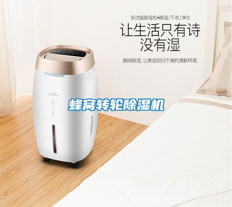 蜂窩轉(zhuǎn)輪除濕機