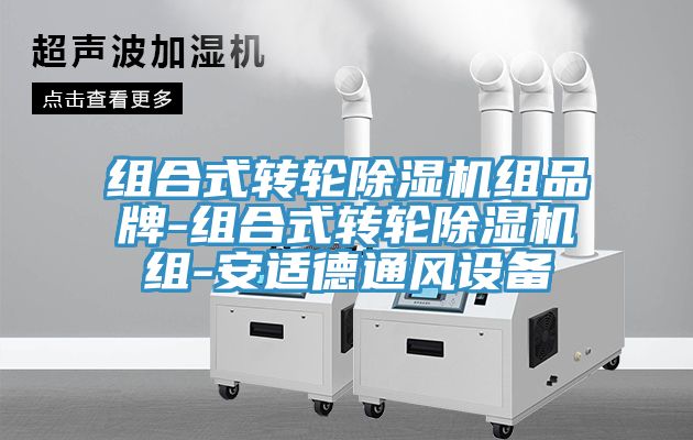 組合式轉(zhuǎn)輪除濕機組品牌-組合式轉(zhuǎn)輪除濕機組-安適德通風設(shè)備