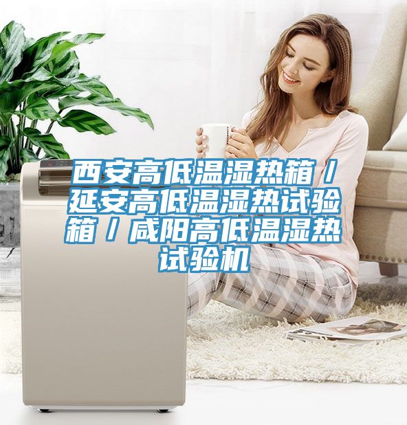 西安高低溫濕熱箱／延安高低溫濕熱試驗箱／咸陽高低溫濕熱試驗機(jī)