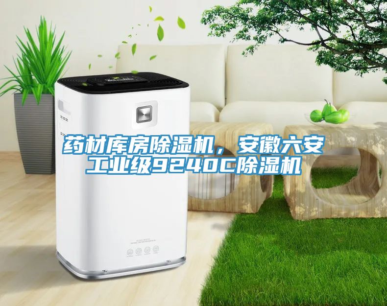 藥材庫房除濕機，安徽六安工業(yè)級9240C除濕機