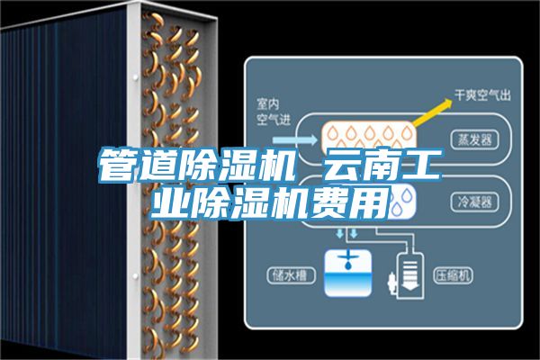 管道除濕機(jī) 云南工業(yè)除濕機(jī)費(fèi)用
