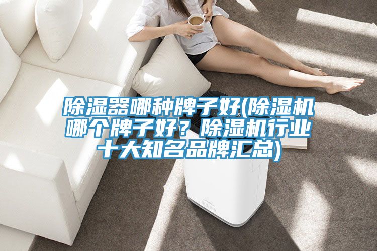 除濕器哪種牌子好(除濕機哪個牌子好？除濕機行業(yè)十大知名品牌匯總)