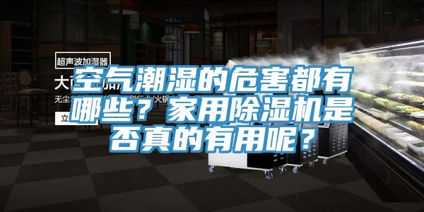 空氣潮濕的危害都有哪些？家用除濕機(jī)是否真的有用呢？
