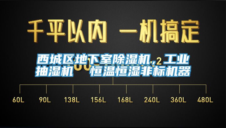 西城區(qū)地下室除濕機(jī)，工業(yè)抽濕機(jī)  恒溫恒濕非標(biāo)機(jī)器