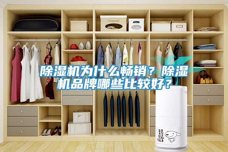 除濕機(jī)為什么暢銷？除濕機(jī)品牌哪些比較好？