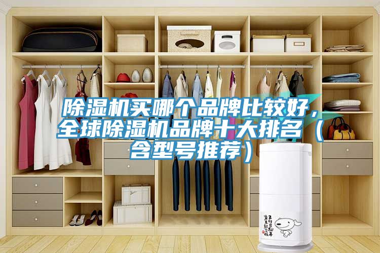 除濕機(jī)買哪個品牌比較好，全球除濕機(jī)品牌十大排名（含型號推薦）