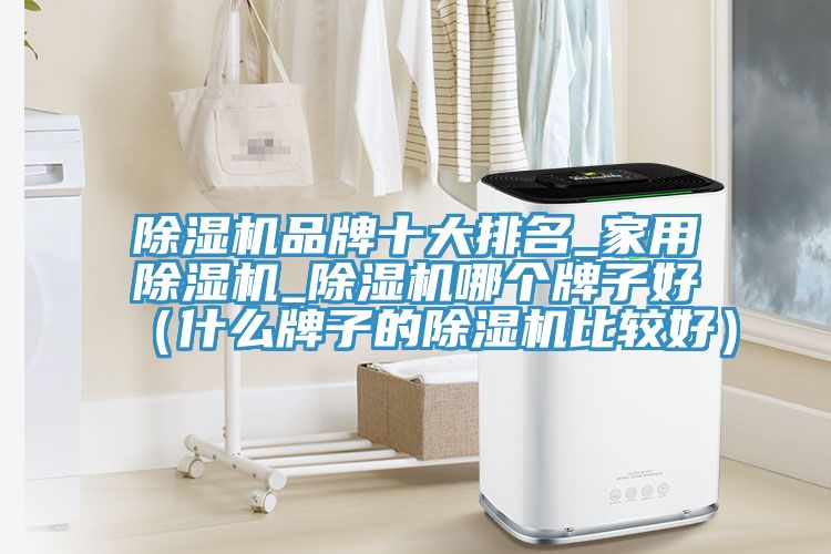 除濕機(jī)品牌十大排名_家用除濕機(jī)_除濕機(jī)哪個牌子好（什么牌子的除濕機(jī)比較好）