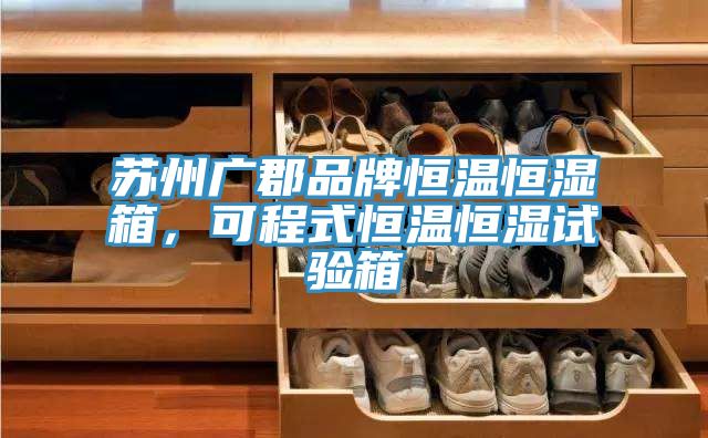 蘇州廣郡品牌恒溫恒濕箱，可程式恒溫恒濕試驗箱