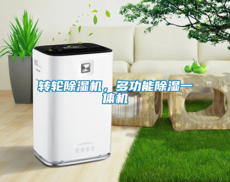 轉(zhuǎn)輪除濕機(jī)，多功能除濕一體機(jī)