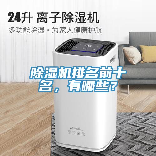 除濕機(jī)排名前十名，有哪些？