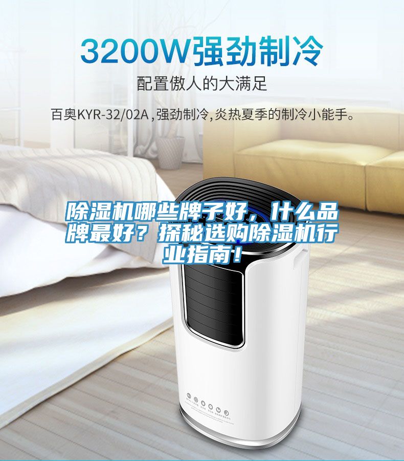 除濕機哪些牌子好，什么品牌最好？探秘選購除濕機行業(yè)指南！