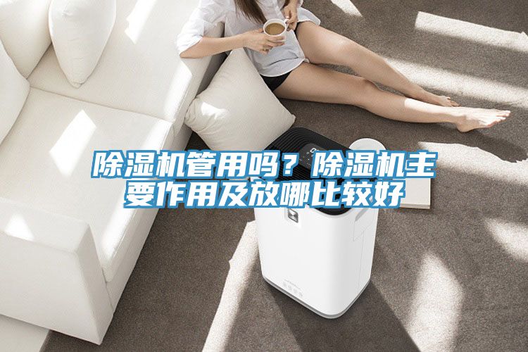 除濕機管用嗎？除濕機主要作用及放哪比較好