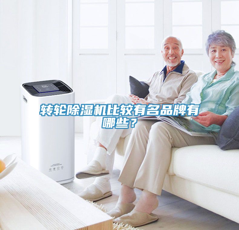 轉(zhuǎn)輪除濕機比較有名品牌有哪些？