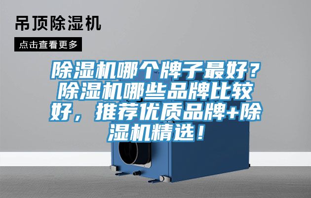 除濕機(jī)哪個(gè)牌子最好？除濕機(jī)哪些品牌比較好，推薦優(yōu)質(zhì)品牌+除濕機(jī)精選！