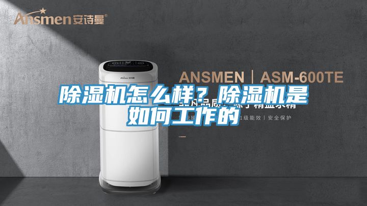 除濕機(jī)怎么樣？除濕機(jī)是如何工作的