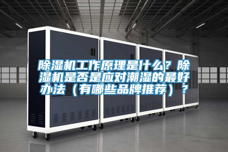 除濕機工作原理是什么？除濕機是否是應(yīng)對潮濕的最好辦法（有哪些品牌推薦）？