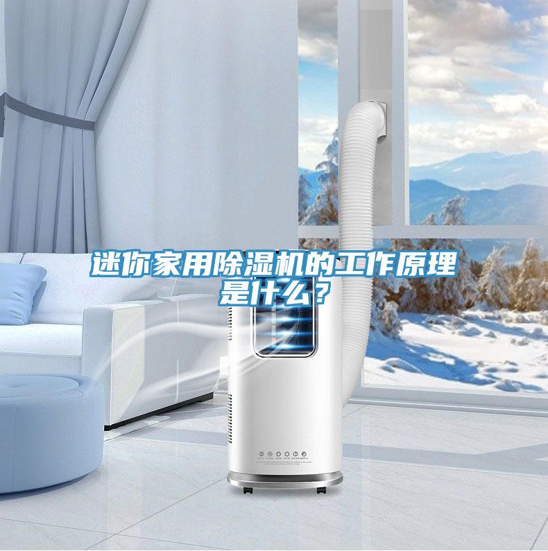 迷你家用除濕機(jī)的工作原理是什么？