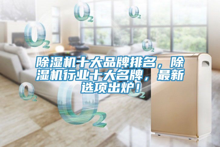 除濕機(jī)十大品牌排名，除濕機(jī)行業(yè)十大名牌，最新選項(xiàng)出爐！
