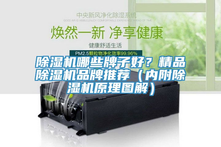 除濕機哪些牌子好？精品除濕機品牌推薦（內(nèi)附除濕機原理圖解）