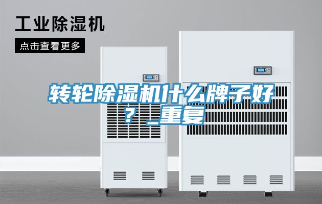 轉(zhuǎn)輪除濕機(jī)什么牌子好？_重復(fù)